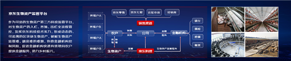 京东科技 邮储银行北京分行 北京农担联合发布“邮储-京农贷” 以金融活水助力“三农”发展 