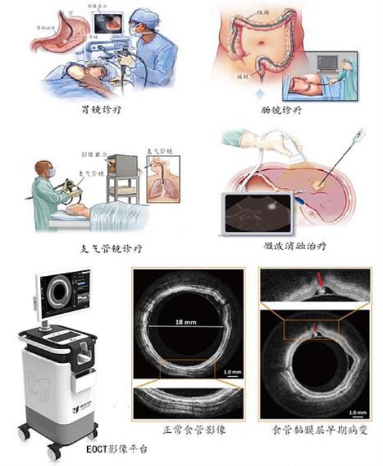 南微医疗1（公司年报）