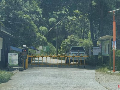 游客称到峨眉山张沟玩水被收费：带路费系双方议价带路，村组长及村民否认收卫生费