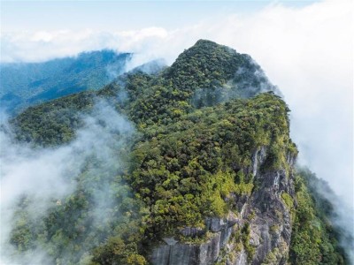 《黑神话：悟空》爆火全网，海南文旅如何借势“上分”？