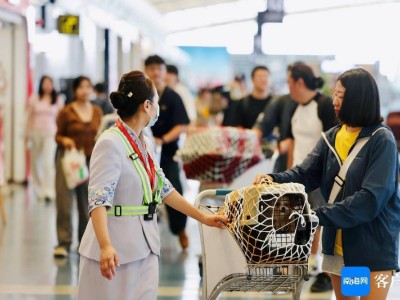 宠物也能“坐”飞机啦！海南航空首个宠物包机航班启航