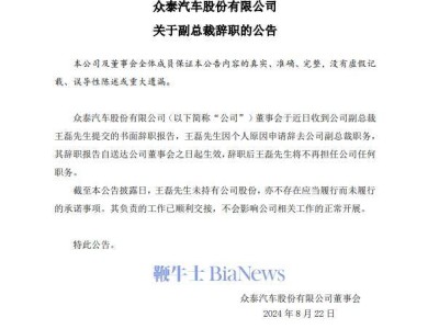 众泰汽车副总裁王磊上任仅三月后辞职