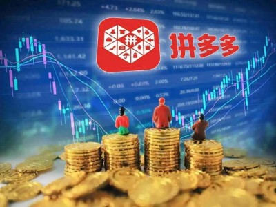 拼多多陈磊：公司仍在加大投入，未来几年不考虑分红和回购