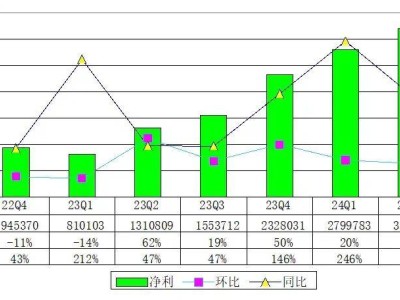 拼多多季报图解：营收971亿同比增86% 陈磊：利润将进入下降趋势