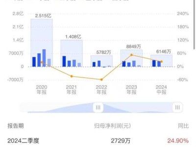 虹软半年报揭秘：PSAI产品出海，现金流却大降130.82%？