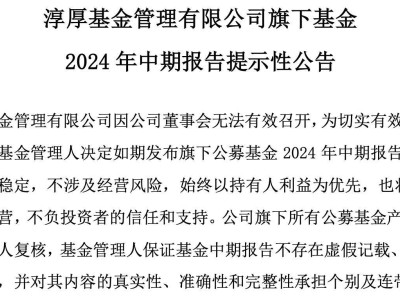 淳厚基金内斗曝光：董事长停职、二股东身兼数职，背后有何隐情？