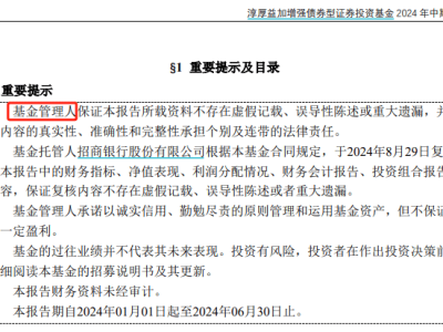 淳厚基金风波揭秘：董事长停职背后，二股东如何玩转多重身份套利？