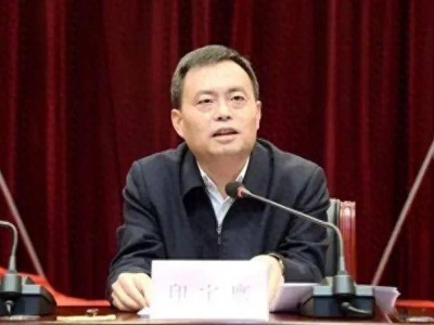 落马正厅级官员印宇鹰被双开，竟因“长期沉迷网游”？内情令人咋舌！