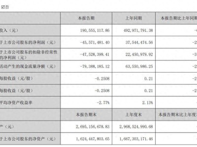 揭秘中报背后：哪些数据惊艳全场，哪些业务暗藏玄机？一探究竟！