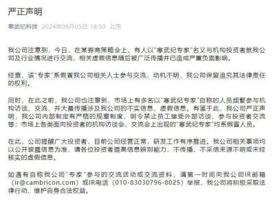 AI芯片龙头股价暴跌！怒斥“假专家”搅局，上半年巨亏5.3亿，何去何从？