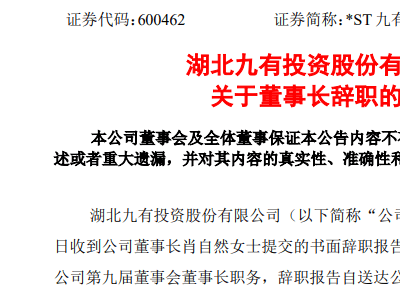 A股新晋“95后”掌门人亮相！原董事长意外辞职，谁来领航？