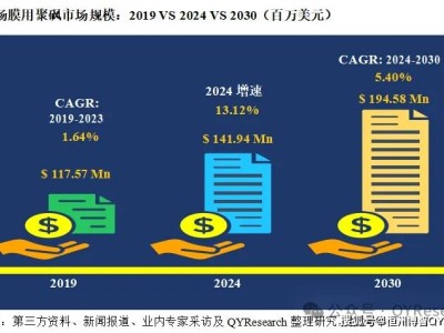 2024年全球膜用聚砜市场风云变幻，新趋势引领行业未来！