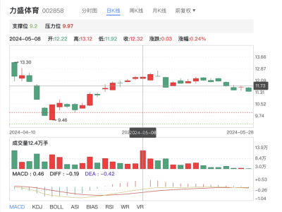 力盛体育再陷亏损泥沼，募投项目连连不达预期，融资不断，合理性何在？