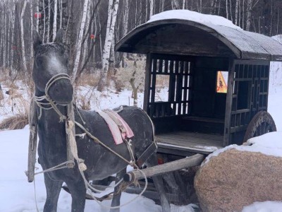 峰岩山寨：古韵与今风交织，您的度假梦想地等您来探！