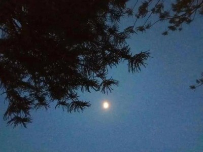 月亮：乡村夜空的独特徽章，你曾仰望过那片星光吗？