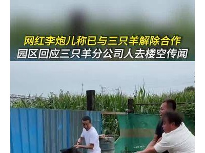 网红李炮儿与三只羊分道扬镳，传闻三只羊分公司人去楼空，发生了什么？