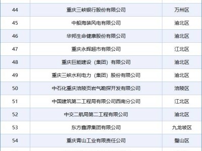 2024重庆百强企业榜单揭晓：谁领跑山城经济圈？