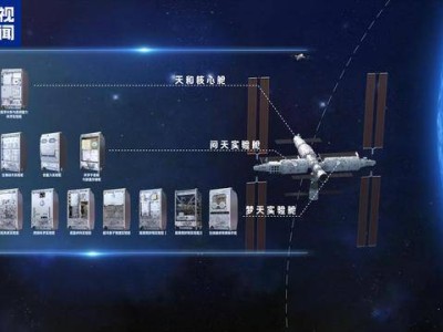 中国空间站科研硕果连连：空间培育水稻与脊椎动物，探索太空农业新篇章！