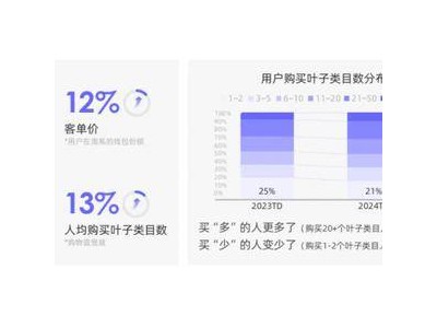 双11突围新助力！阿里妈妈揭秘“品效抢跑”策略，商家必备秘籍！