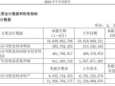 老百姓大药房实控人解除留置，谢子龙正常履职！