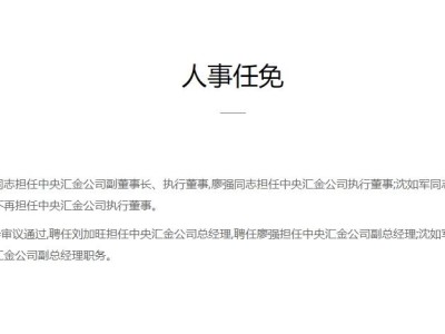 刘加旺履新中央汇金副董事长，金融界迎来重磅人事变动！