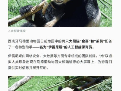 西班牙马德里动物园熊猫享受高科技福利：AI保育员上线，双语答疑！