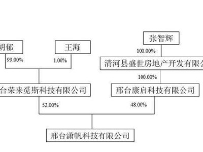 科大讯飞创始人胡郁接手连亏3年的中创环保，能否扭转乾坤？