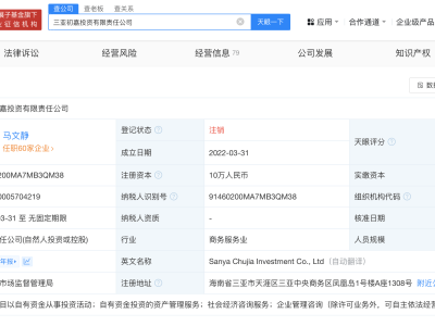 雷军旗下三亚初嘉投资公司注销，市场格局将迎何变化？
