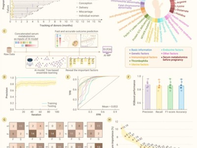 上海交大新突破！AI预警平台，首次实现孕前预测流产风险？