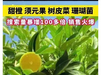 “云南虫谷”特产热销，哀牢山独特探索方式火了？