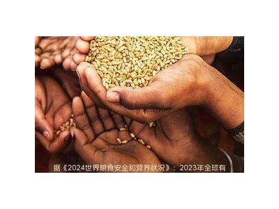 世界粮食日：一稻一粟，你珍惜了吗？