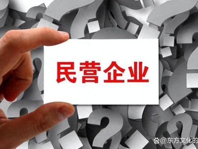 民企恒心缺失，未来之路：不确定性满满？