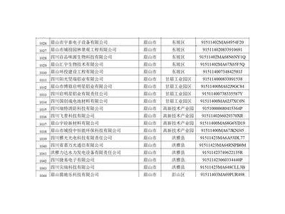 眉山42家企业上榜！2024省级“专精特新”名单揭晓