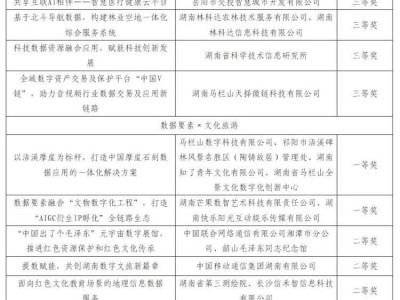 2024“数据要素×”大赛湖南分赛落幕，哪些项目脱颖而出？