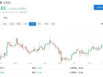 白银价格暴涨6.5%，纽约市场掀起波澜！