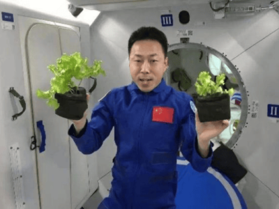 航天员自给自足新法：小行星竟成太空“食物”来源？