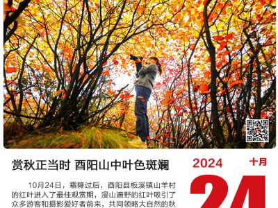 上游新闻·每日精选【10月24日】一图读懂今日要点