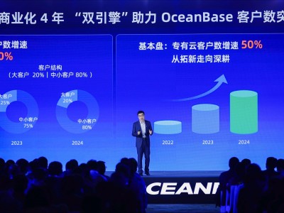 杨冰详解OceanBase商业化：双引擎、出海及AI | 数字思考者50人