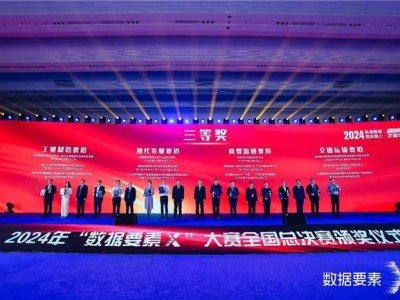 瓴羊实力斩获2024“数据要素×”大赛全国总决赛季军！