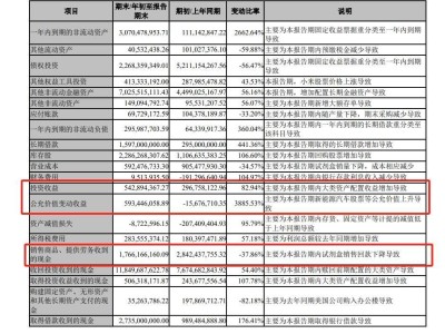 九安医疗营收大降却投资新能源汽车大赚5亿，借钱投资两不误？