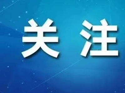 全面推广！机动车行驶证电子化，11月4日起分批实施