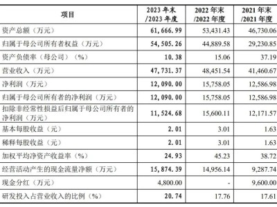 致远电子IPO梦断：募资8亿计划落空，董事长与副董事长婚变后如何掌舵？