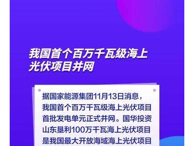 我国首个百万千瓦级海上光伏项目并网