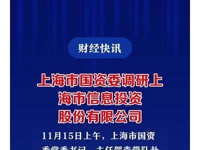 上海市国资委调研上海市信息投资股份有限公司