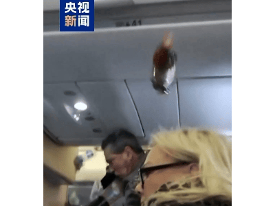 北欧航空客机遭遇湍流急坠2500米，乘客安全成关注焦点！