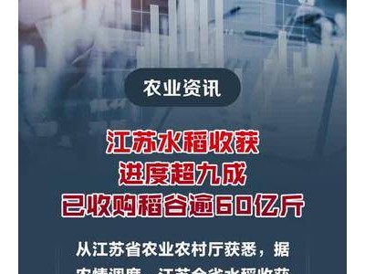 江苏水稻收获进度超九成 已收购稻谷逾60亿斤