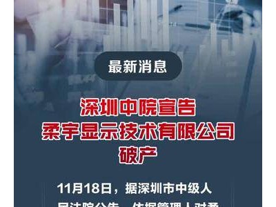 深圳中院宣告柔宇显示技术有限公司破产