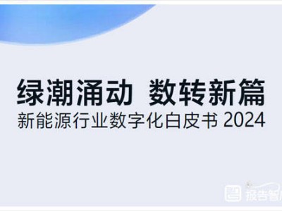 新能源行业2024：数字化转型新路径与机遇挑战并存