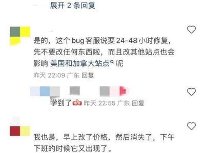 亚马逊大促前“Bug”扰人，跨境电商卖家如何应对挑战？