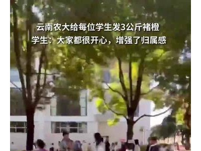 拍客｜云南农大给每位学生发3公斤褚橙 学生：大家都很开心，增强了归属感